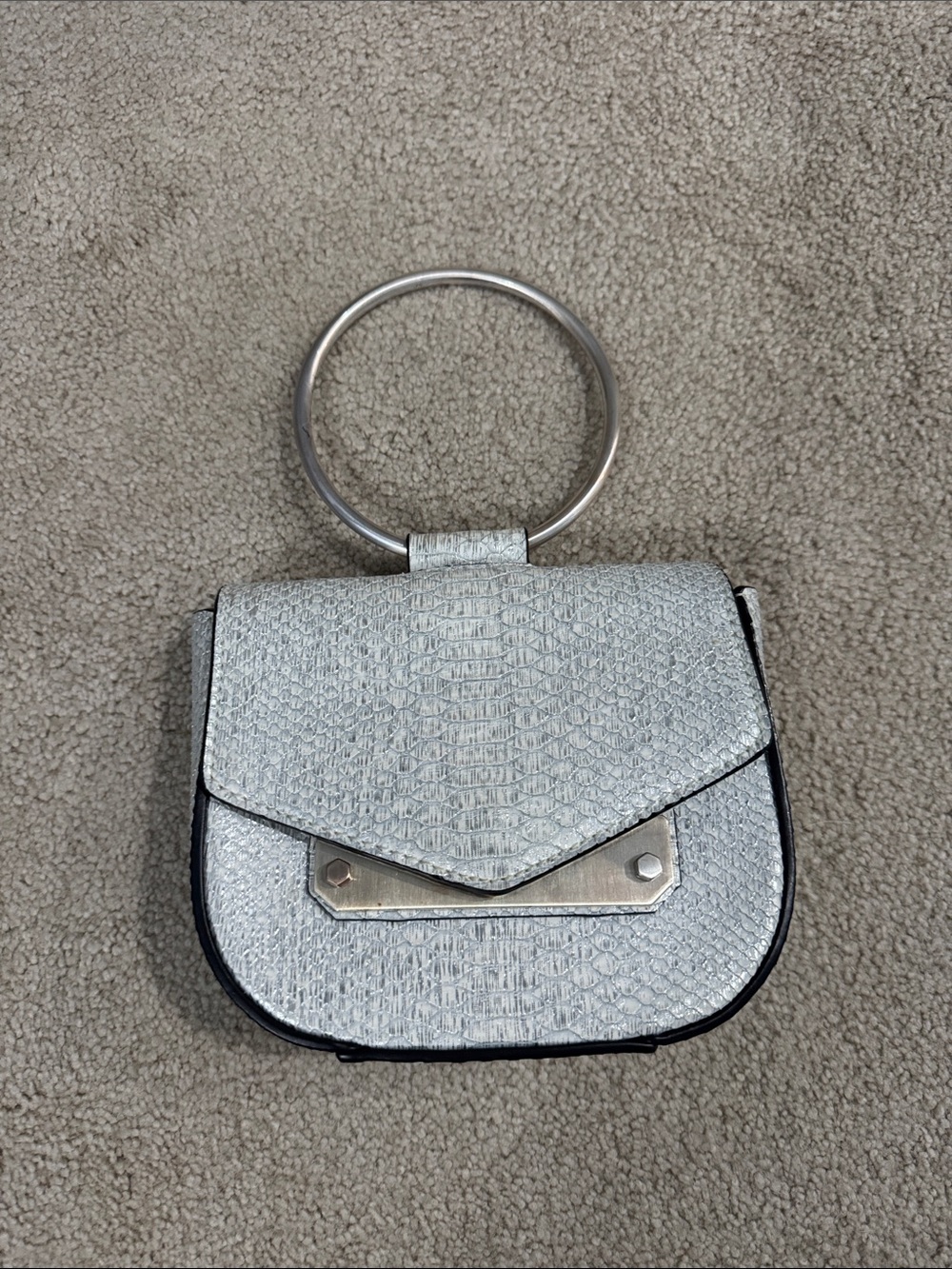 Metallic Silver Ring-Handle Women’s Bag